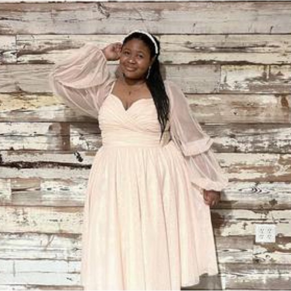 NWT nabela noor x Eloquii pink chiffon puff sleeve dress Size 18